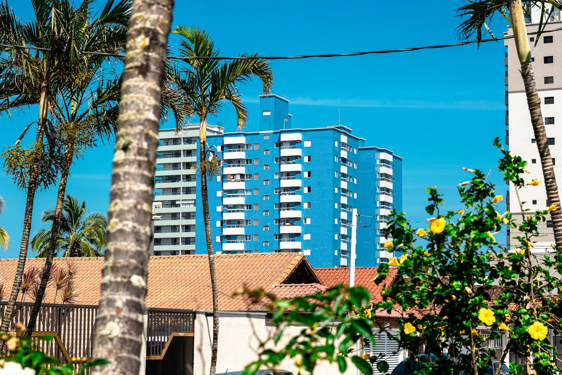 Prédio residencial em Santos cercado de verde
